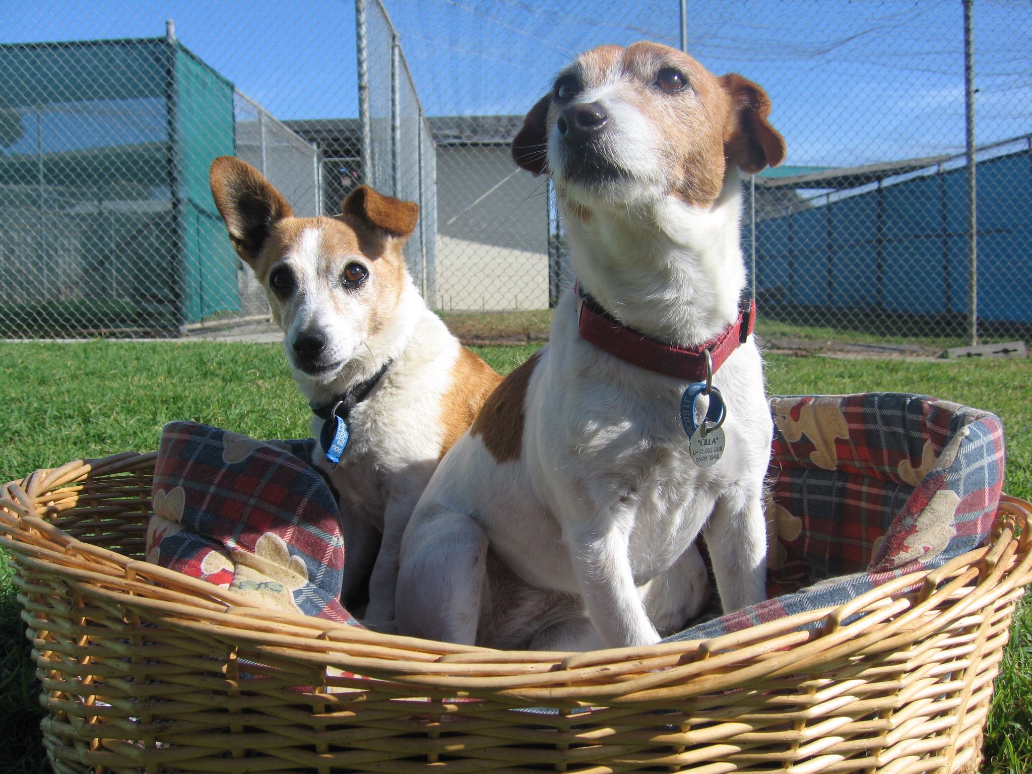 Bayside Pet Centre Review [2021] Best Australia